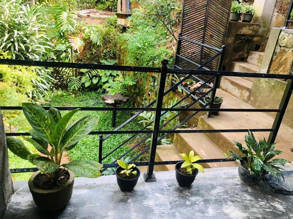 Sky Garden Ella Apartman Kültér fotó