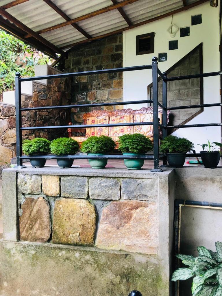 Sky Garden Ella Apartman Kültér fotó