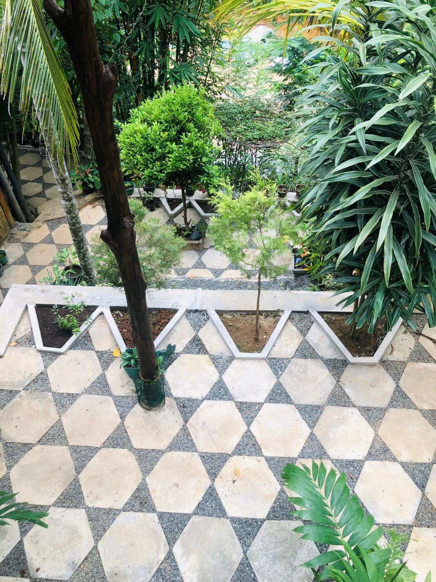 Sky Garden Ella Apartman Kültér fotó