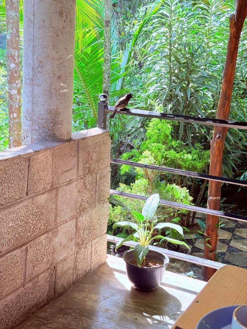 Sky Garden Ella Apartman Kültér fotó